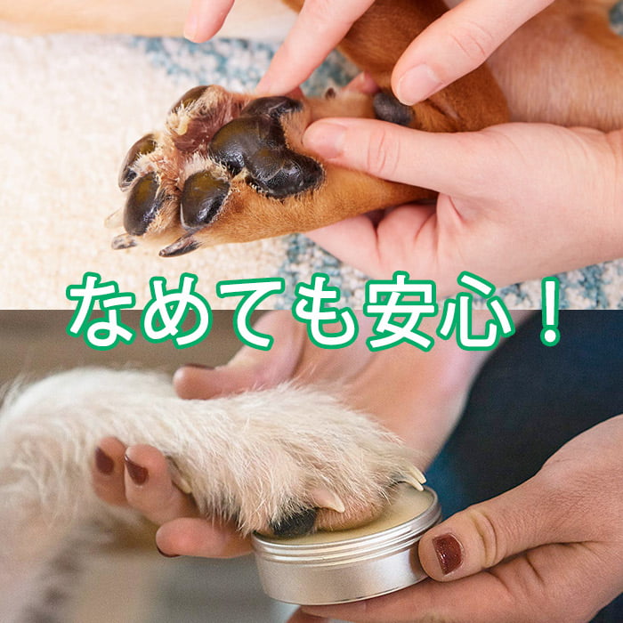 ハナ＆パッドケアー 30g えぞ鹿油100％!舐めても良い、食べても良いハナ＆パッドつるつるに！ - 栄養プラス 鹿肉ペットフード